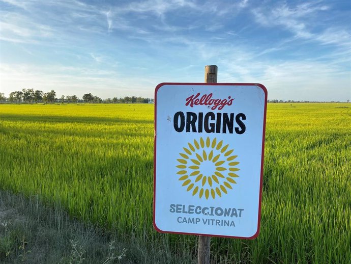 El programa 'Origins' de Kellogg busca mejorar la sostenibilidad en los arrozales del Delta del Ebro