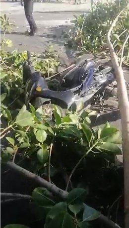La moto junto a las ramas del árbol caída sobre el motorista
