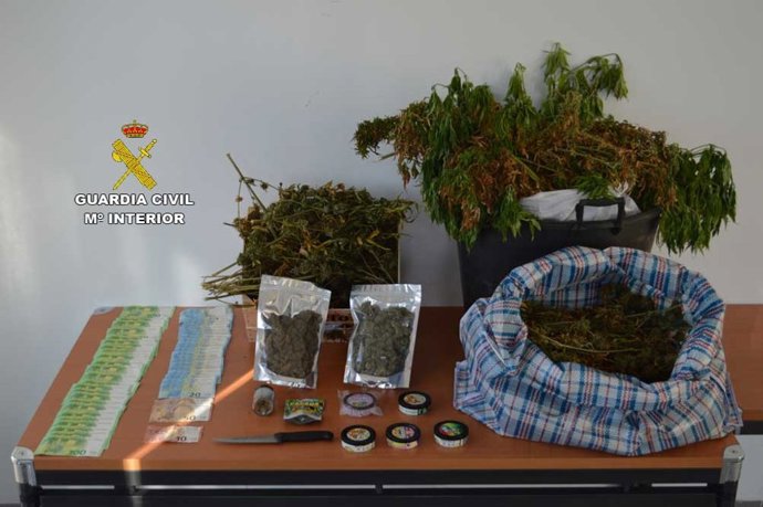 Dinero en efectivo y plantas de marihuana intervenidas en la operación.