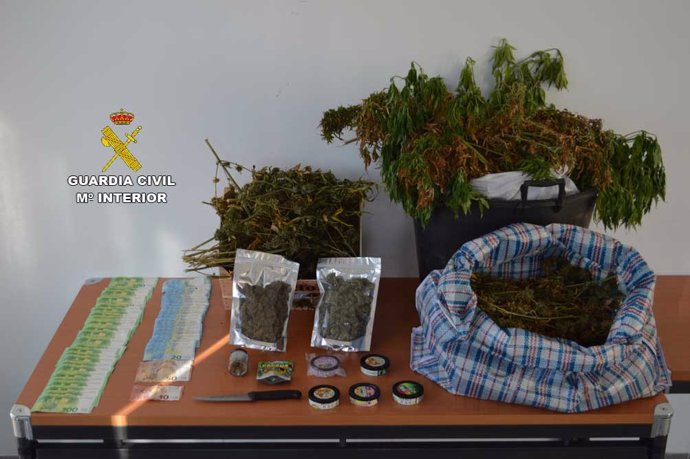 Sucesos.- La Guardia Civil desactiva un grupo "muy activo" de venta de marihuana