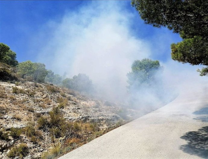 Efectivos del Plan Infomur dan por controlado el incendio forestal declarado en la Sierra del Baño, en Fortuna