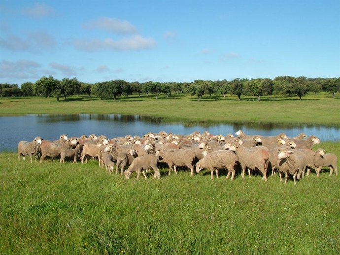 Turismo.- Cordero de Extremadura recomienda siete enclaves en la región para des