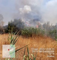 Controlado el incendio forestal declarado en un paraje de Gibraleón (Huelva)