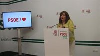 El PSOE-A acusa a la Junta de actuar con las residencias de mayores "a impulsos presionada por las quejas"