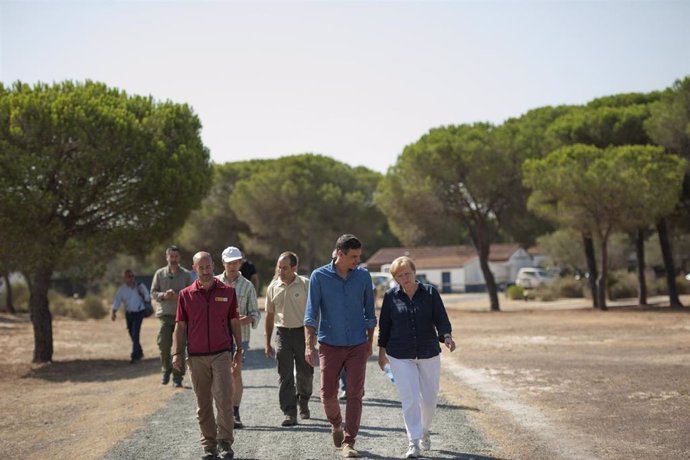 Pedro Sánchez y Angela Merkel en una anterior visita a Doñana