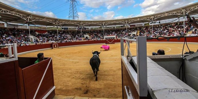 El certamen de novilladas 'Alfarero de Oro' de Villaseca anuncia su suspensión por la situación sanitaria