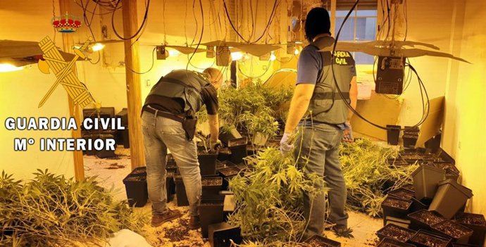 Cultivo indoor de marihuana en una vivienda de Roquetas de Mar