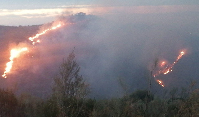 Incendio forestal en Colmenar (Málaga)