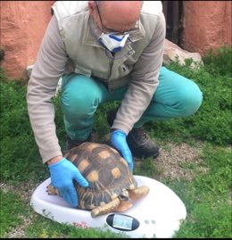 Cuidados en el zoo de Córdoba.