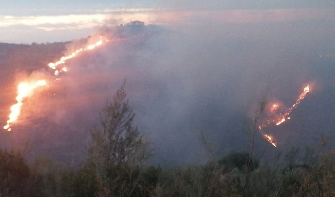 Incendio en Colmenar (Málaga) ya controlado por el Infoca