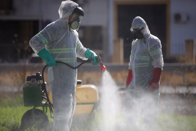 Efectivos fumigan en Coria del Río tras la detección de casos de virus del Nilo