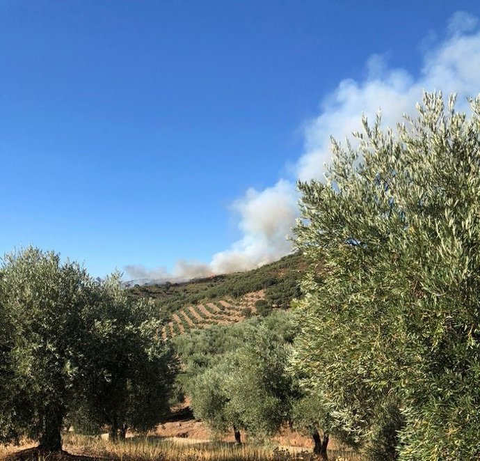 Humareda del incendio en Castañar de Ibor.