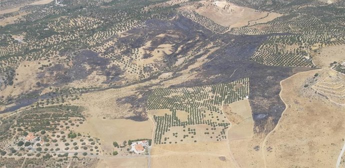 Imagen del incendio forestal en Alcaucín (Málaga) donde trabajan efectivos del Infoca