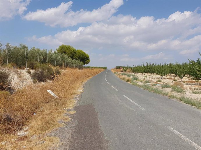 Tramo de la carretera que une Campos del Río y Alguazas