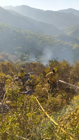 Labores de refresco del incendio de Benaocaz