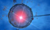 Foto: Científicos españoles colaboran en la creación de óvulos artificiales utilizando células madre