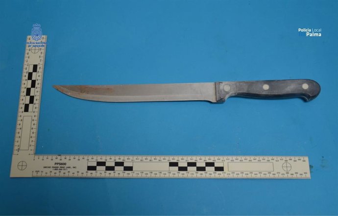 La Policía Nacional Y La Policía Local Detienen A Dos Mujeres Por Un Delito De Homicidio En Grado De Tentativa