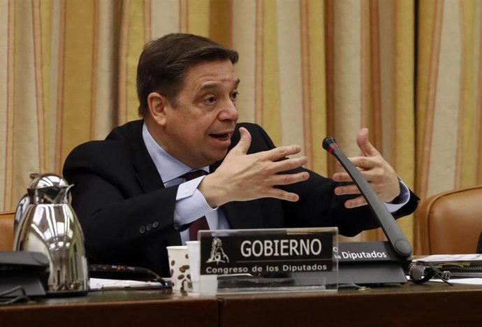 El ministro de Agricultura, Pesca y Alimentación, Luis Planas, durante una comparecencia en el Congreso en Comisión