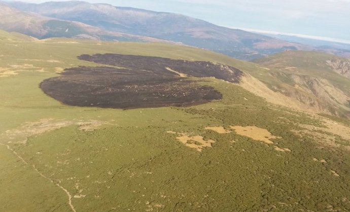 Superficie calcinada en Bohoyo (Ávila), en la cumbre de Gredos.