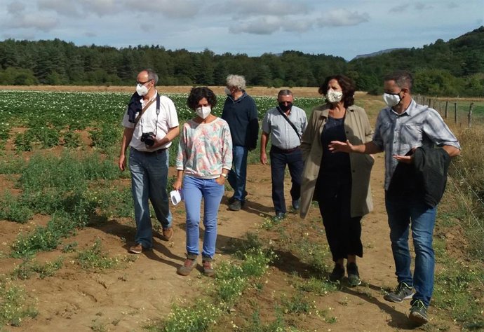 Fernando Santafé, Natalia Bellostas, Fermín Maeztu, Pedro Mascaray, Itziar Gómez, Pablo Muñoz.