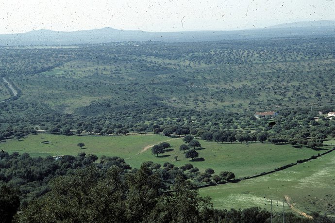 Extremadura es la primera región en asignación de importe y superficie de derech