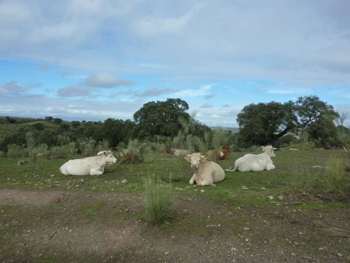 Las ayudas para mejorar infraestructuras y productividad de las fincas rústicas municipales superan los 2,2 millones