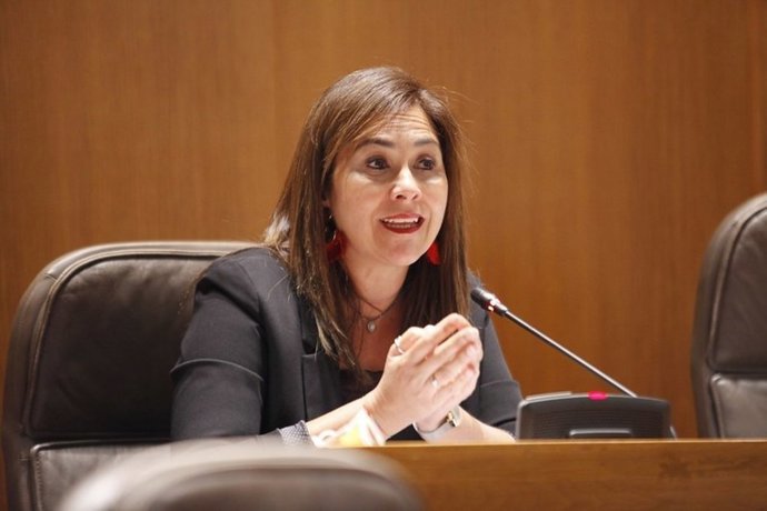 La portavoz de Ciudadanos en Sanidad, Susana Gaspar.
