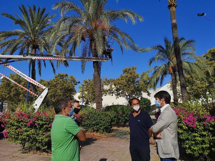 [Sevilla] Nota De Prensa Y Fotografía. Arbolado Avenida Marie Curie
