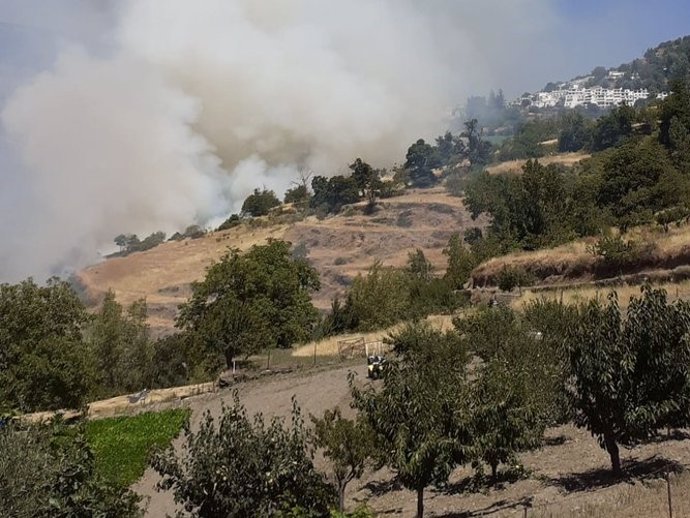 Incendio forestal de Bubión, ya extinguido