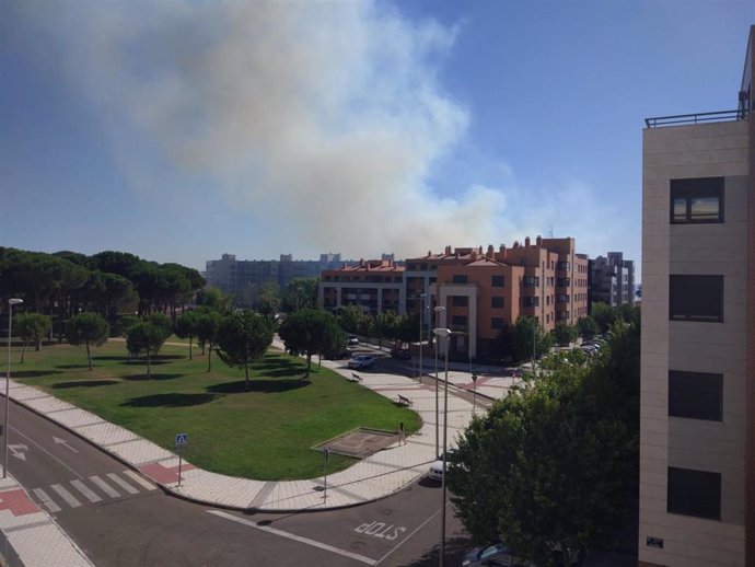 Humo por un incendio en Pinar de Jalón