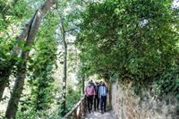 "No vamos a escatimar esfuerzos para potenciar el turismo", afirma el presidente de la Diputación de Zaragoza