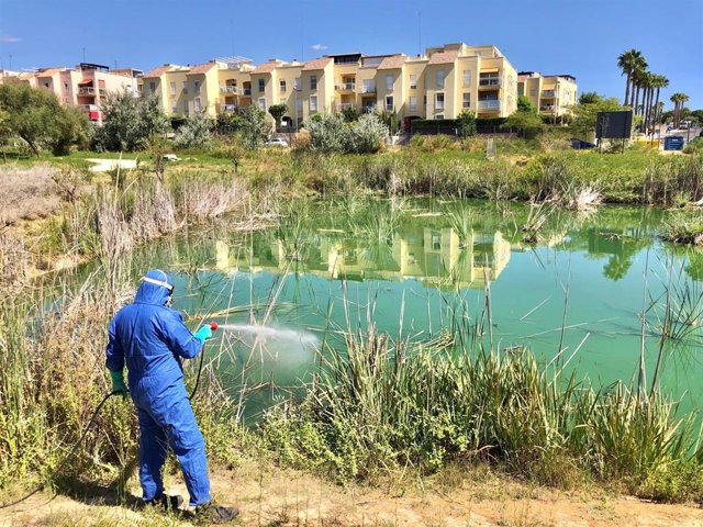 Labores de fumigación en parque Olivar del Zaudín para prevenir el virus del Nilo