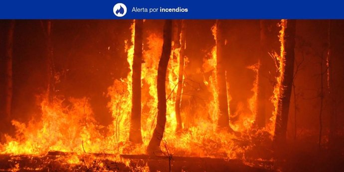 Gran Canaria, Tenerife, La Palma, La Gomera y El Hierro estarán este lunes en riesgo por incendios