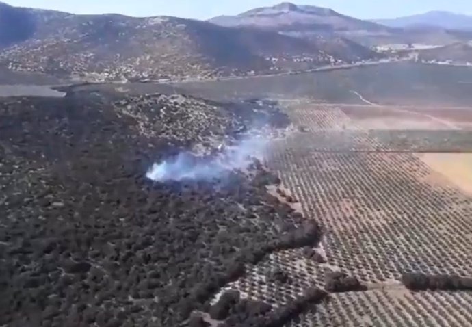 Captura de imagen de un vídeo del incendio forestal de Iznalloz grabado por el Plan Infoca