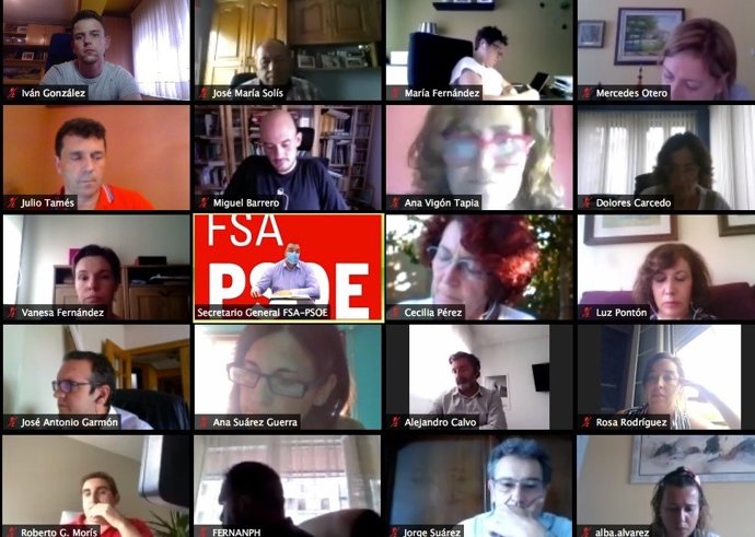 Reunión telemática de la Comisión Ejecutiva de la FSA-PSOE