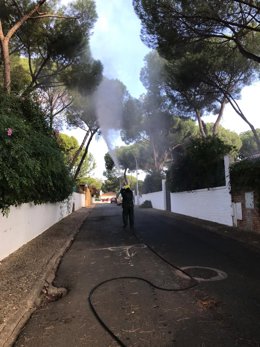 Labores de fumigación en Alcalá