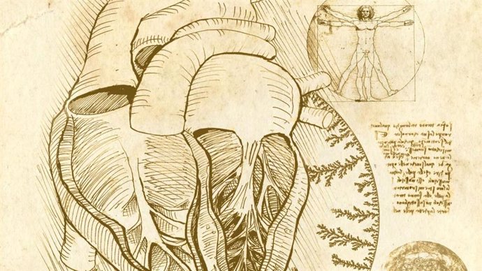 Ilustración del interior de un corazón humano al estilo de Leonardo da Vinci y basada en varios de sus bocetos.