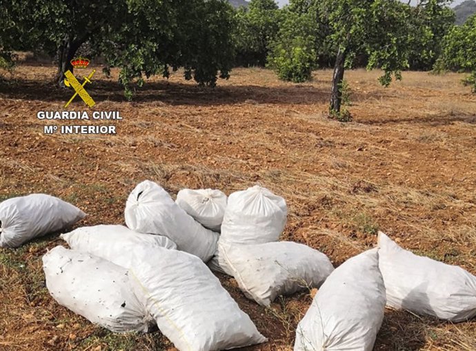 Sacos de algarroba robada, recuperados por la Guardia Civil.