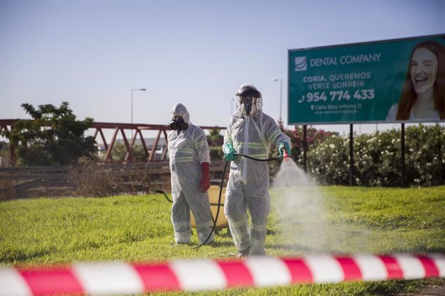 Dos trabajadores durante las labores de fumigación contra los mosquitos 