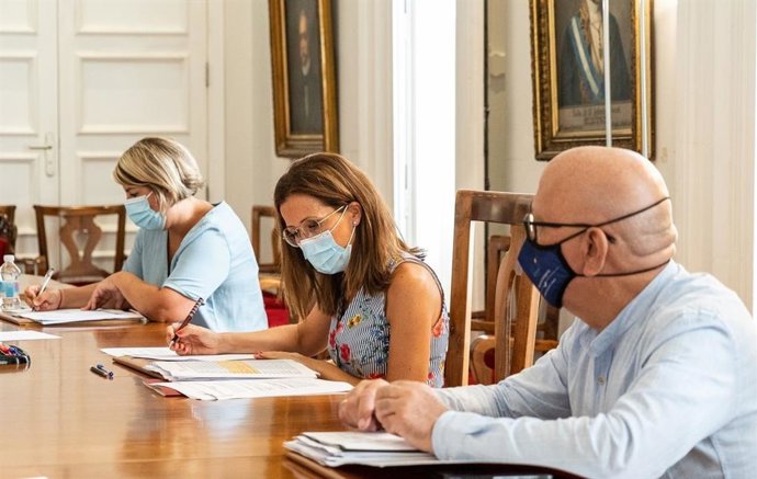 Imagen de la reunión de Salud Pública del Ayuntamiento de Cartagena