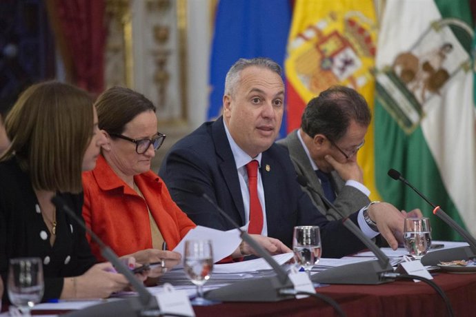 El responsable del Servicio Provincial de Recaudación, Juan Carlos Ruiz Boix, en el pleno de Diputación