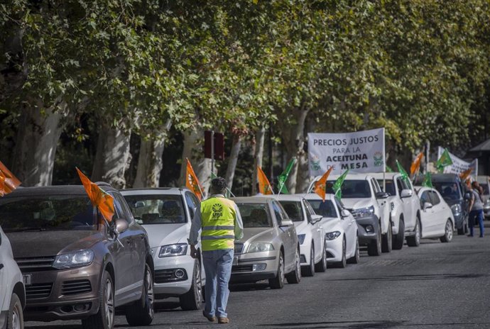 Manifestación UPA Andalucía de los agricultores ante los bajos precios de la aceituna de mesa ante el Palacio de San Telmo. En Sevilla, (Andalucía, España), a 21 de agosto de 2020.