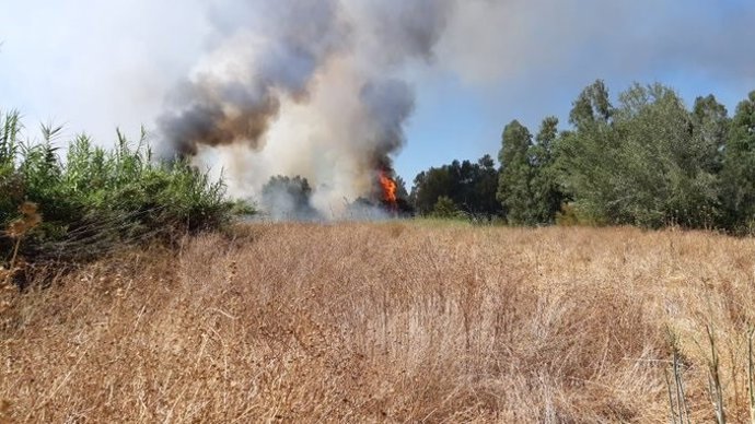 Incendio en el entorno del Corredor Verde del Guadiamar
