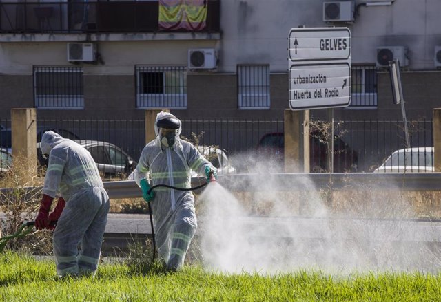 Dos trabajadores durante las labores de fumigación contra los mosquitos causantes del virus del Nilo en Coria del Río