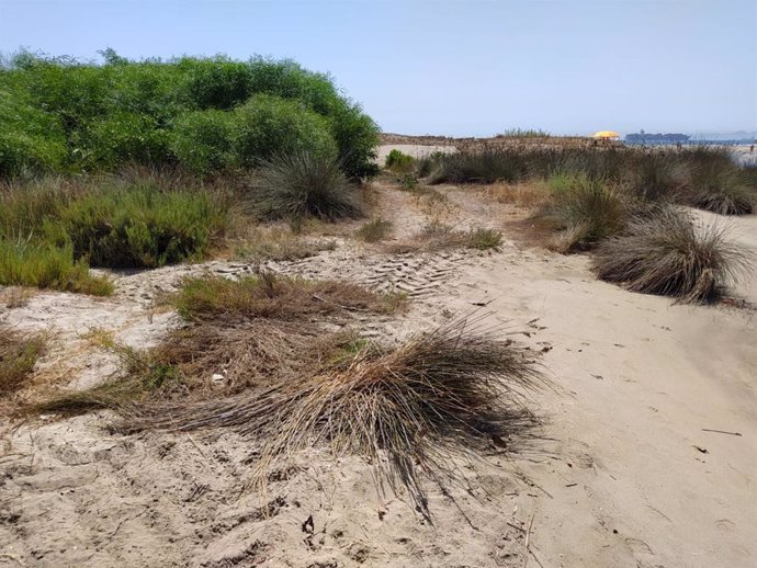 Ecologistas alertan del "deterioro" de las dunas en San Roque.