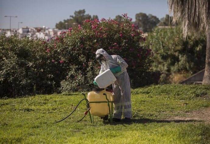 Un trabajador durante las labores de fumigación contra los mosquitos causantes del virus del Nilo en Coria del Río.