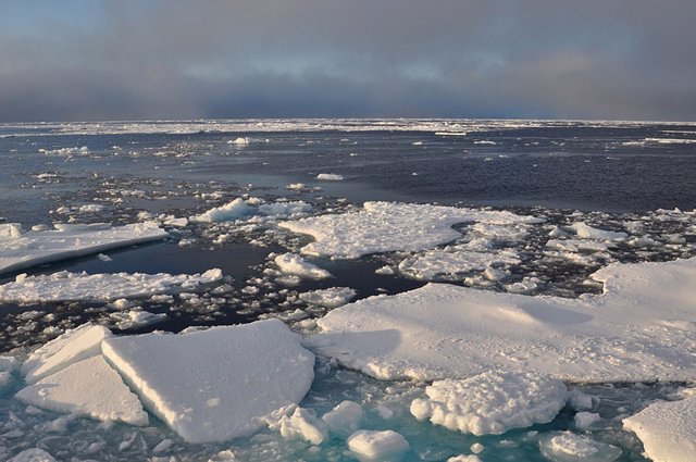 Hielo marino en el Ártico