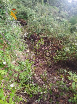 Lugar donde fueron localizados dos senderistas en el Valle del Ambroz