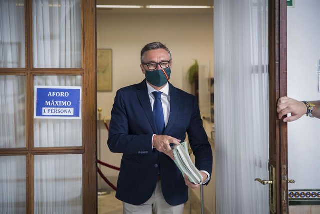 El presidente de la comisión de estudio sobre la recuperación económica y social de Andalucía a causa de la pandemia del Covid-19 y diputado de Vox, Manuel Gavira, este lunes 