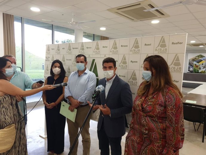 El portavoz de Ciudadanos (Cs) en el Parlamento de Andalucía, Sergio Romero, atendiendo a los periodistas